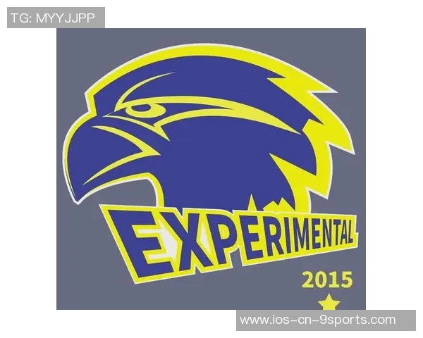 探索全球最具美感的足球队徽设计与文化象征解析